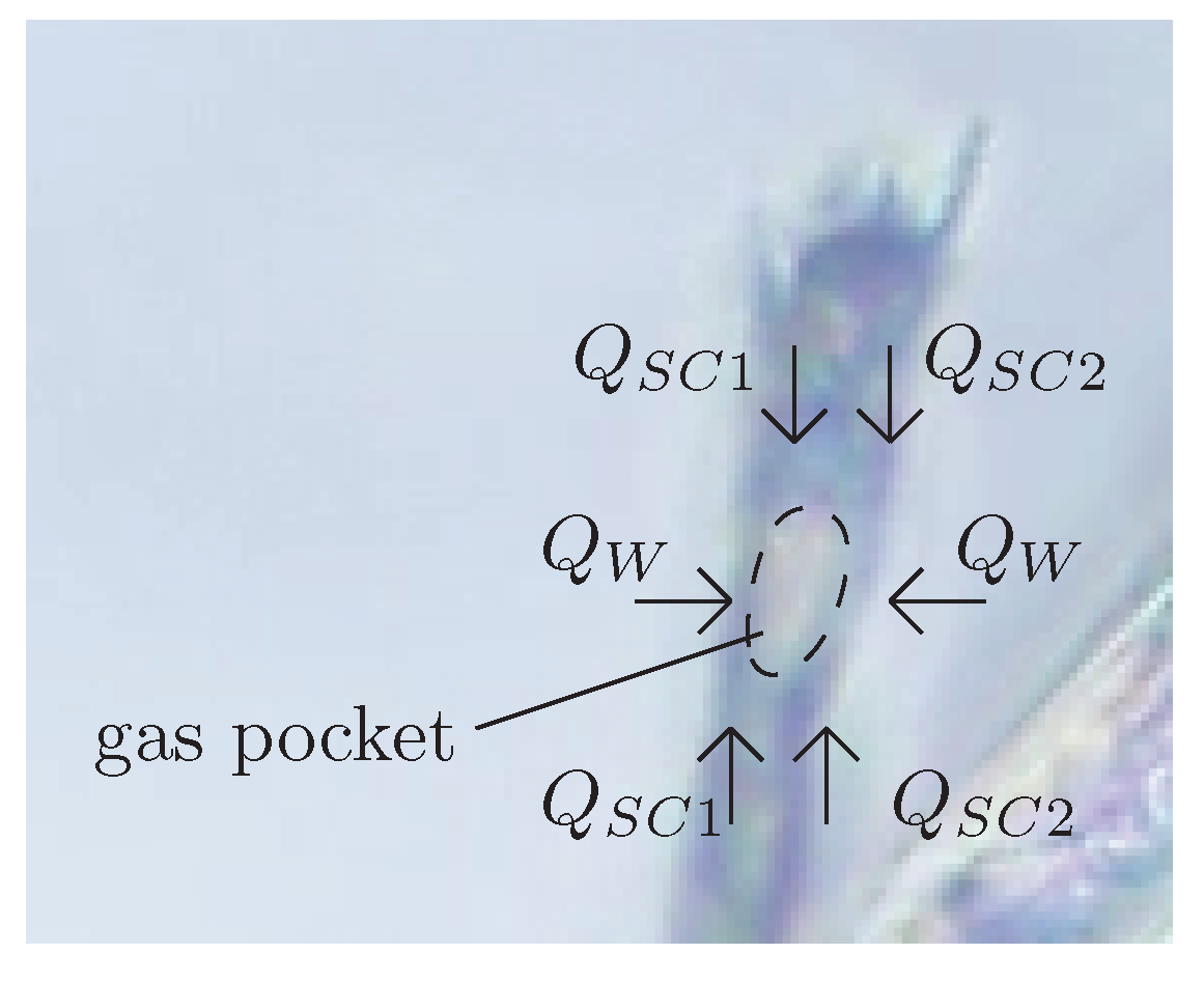 Beverages 03 00038 g004 550