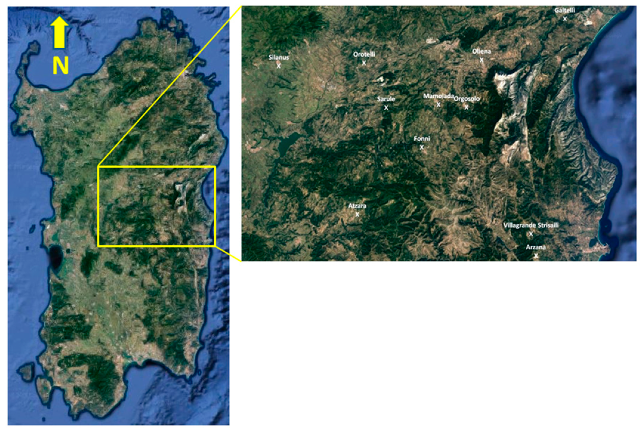 Beverages 04 00062 g002 550