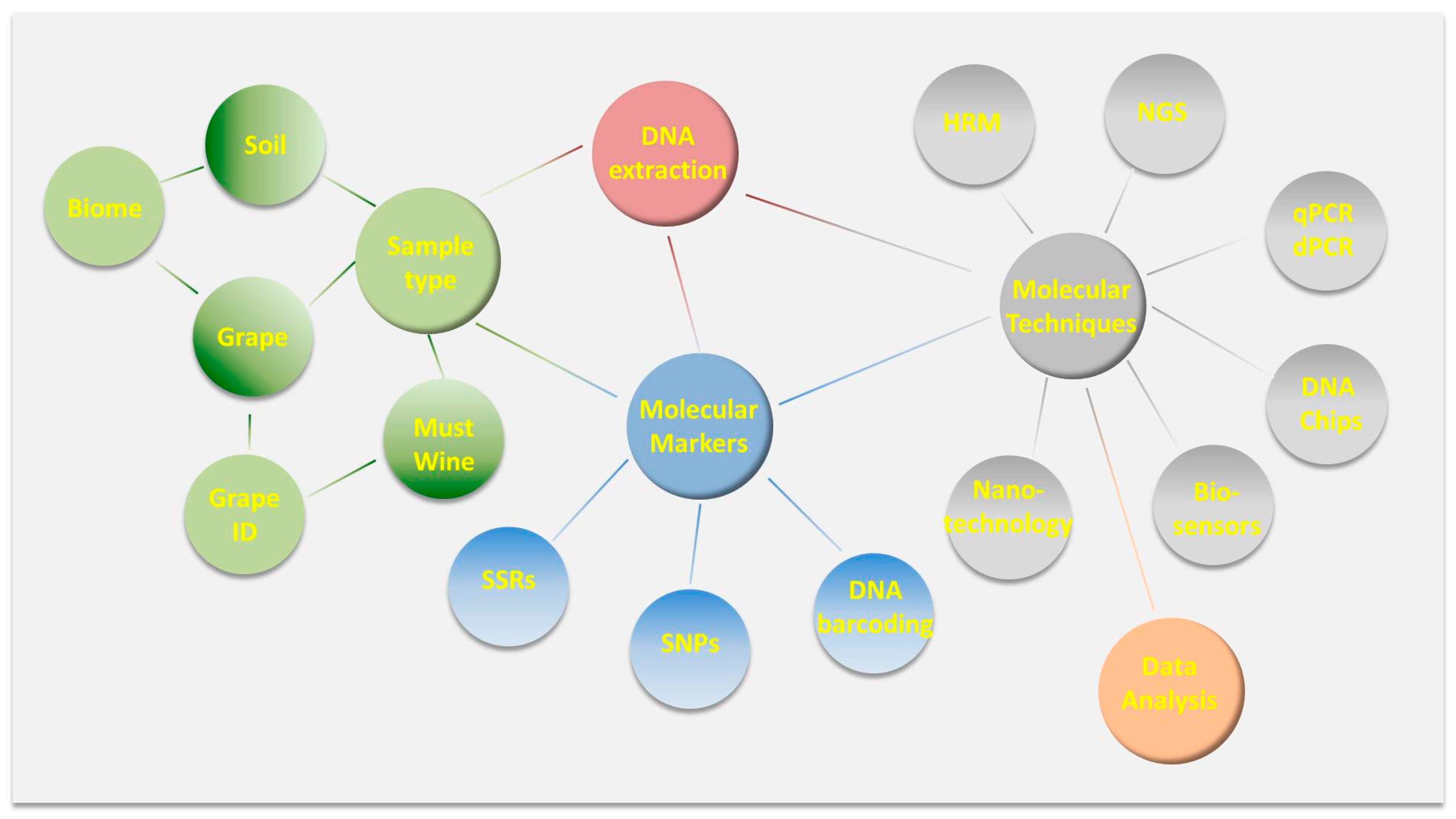 Beverages 04 00071 g003