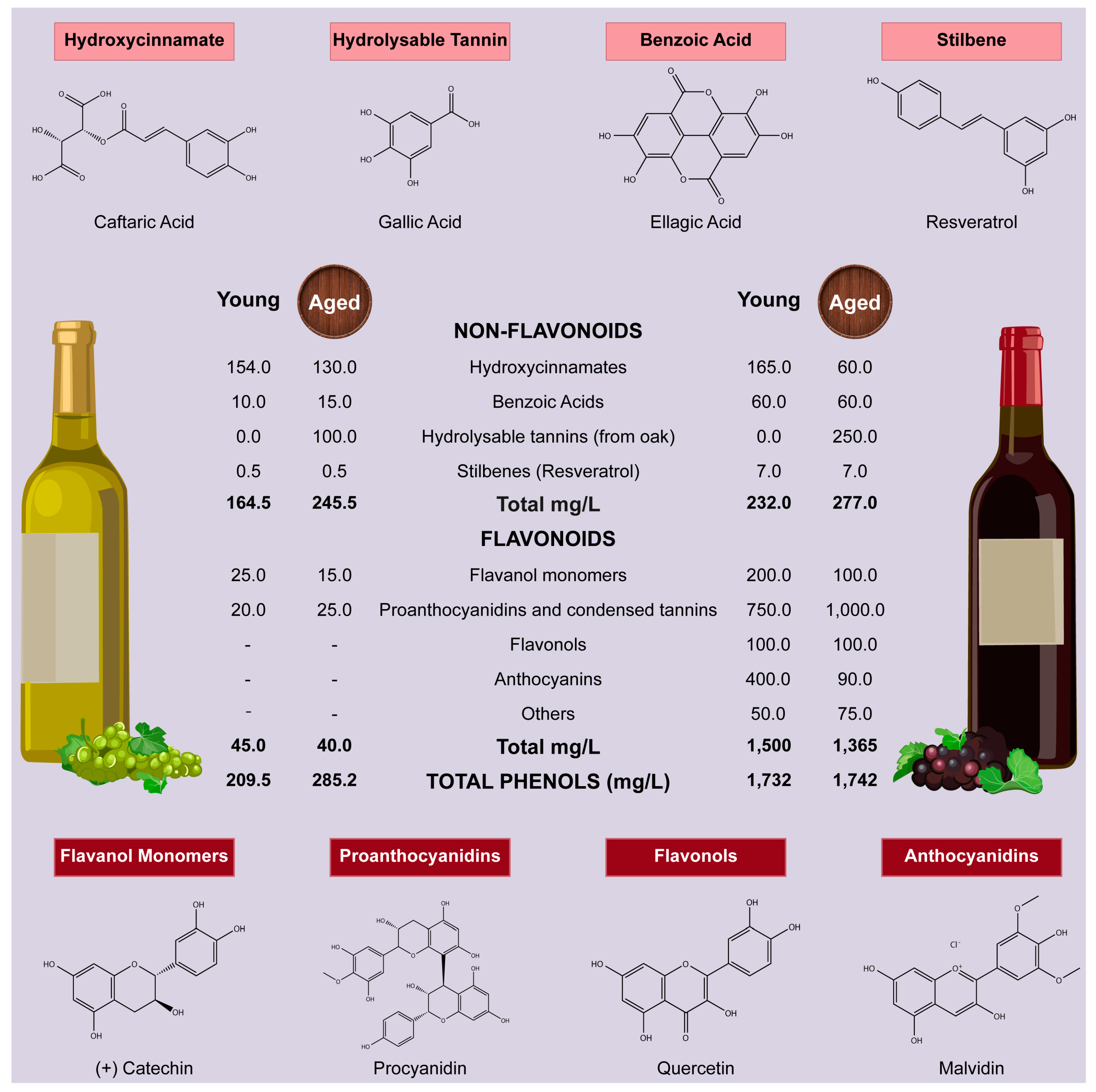 Beverages Free FullText Wine Polyphenols and Neurodegenerative