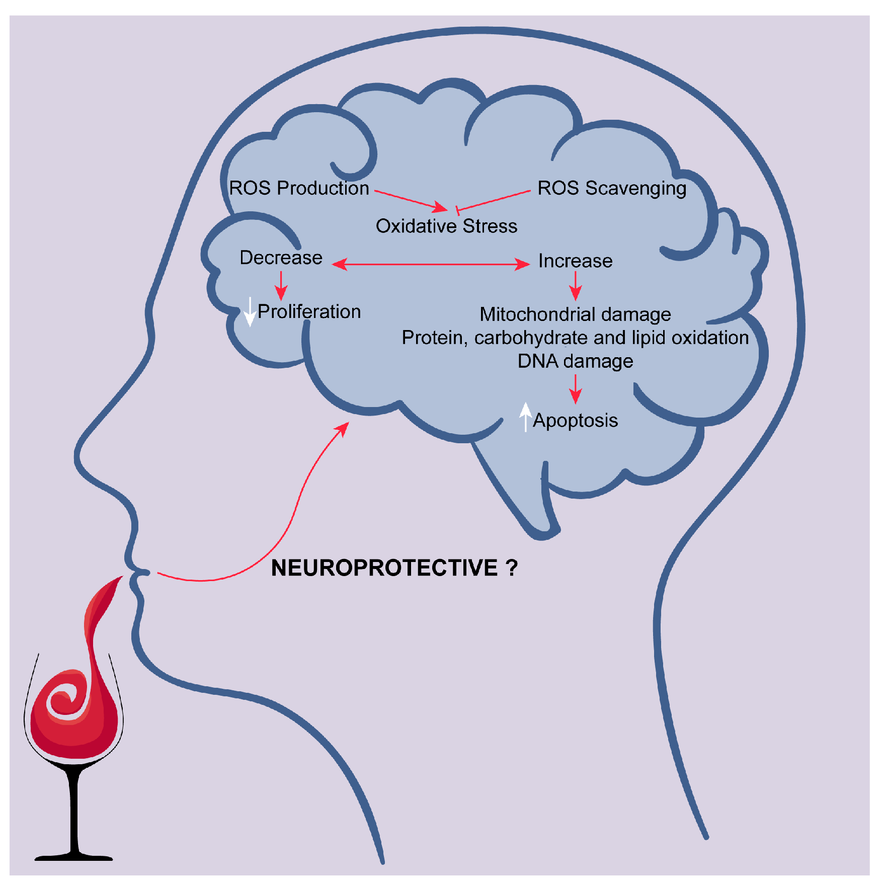 Beverages 04 00096 g003