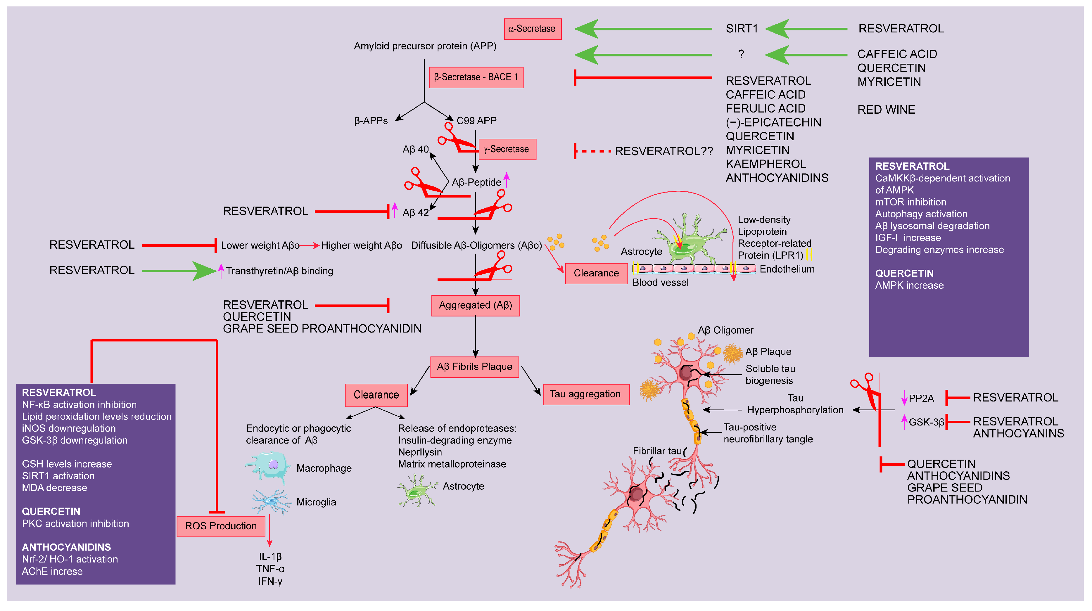 Beverages 04 00096 g004