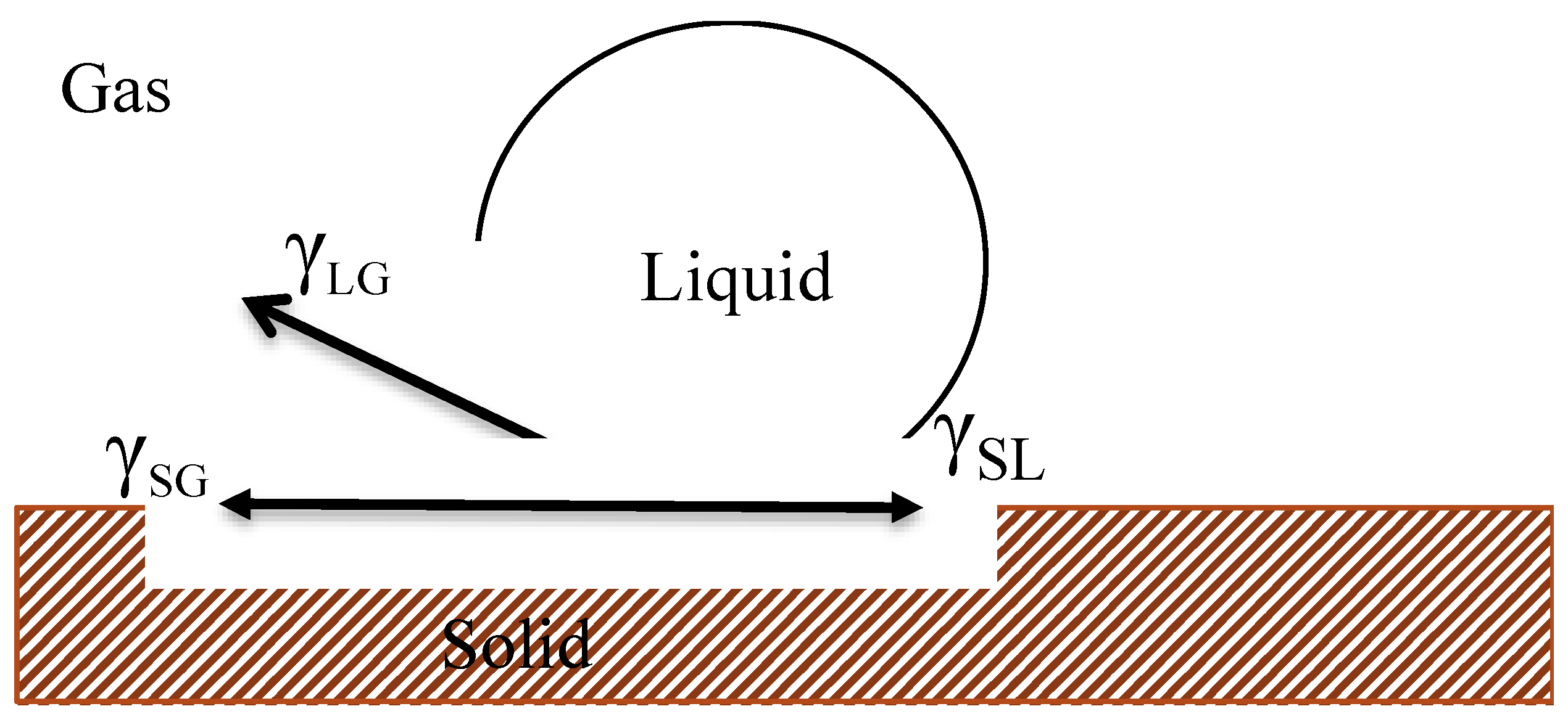 Beverages 05 00010 g003