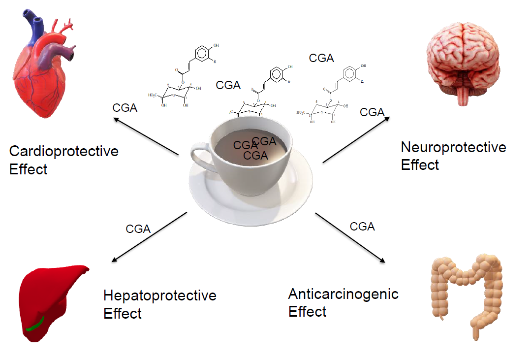 decaffeinated coffee health risks decaffeinated coffee health risks