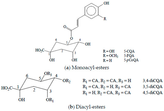 Beverages Free Full Text Consumption Of Chlorogenic Acids Through Coffee And Health Implications Html Beverages Free Full Text Consumption Of Chlorogenic Acids Through Coffee And Health Implications Html