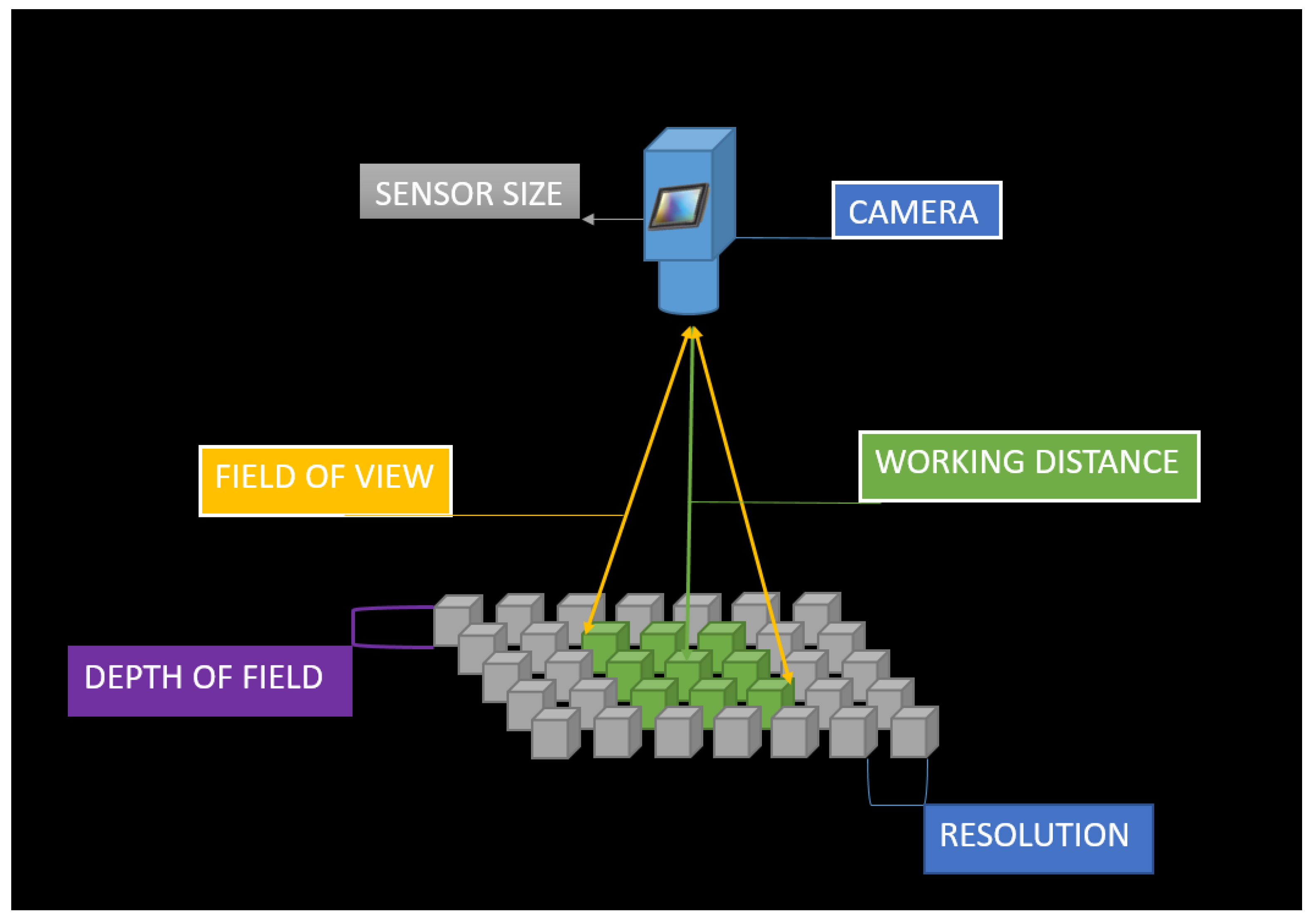 Beverages 05 00038 g009