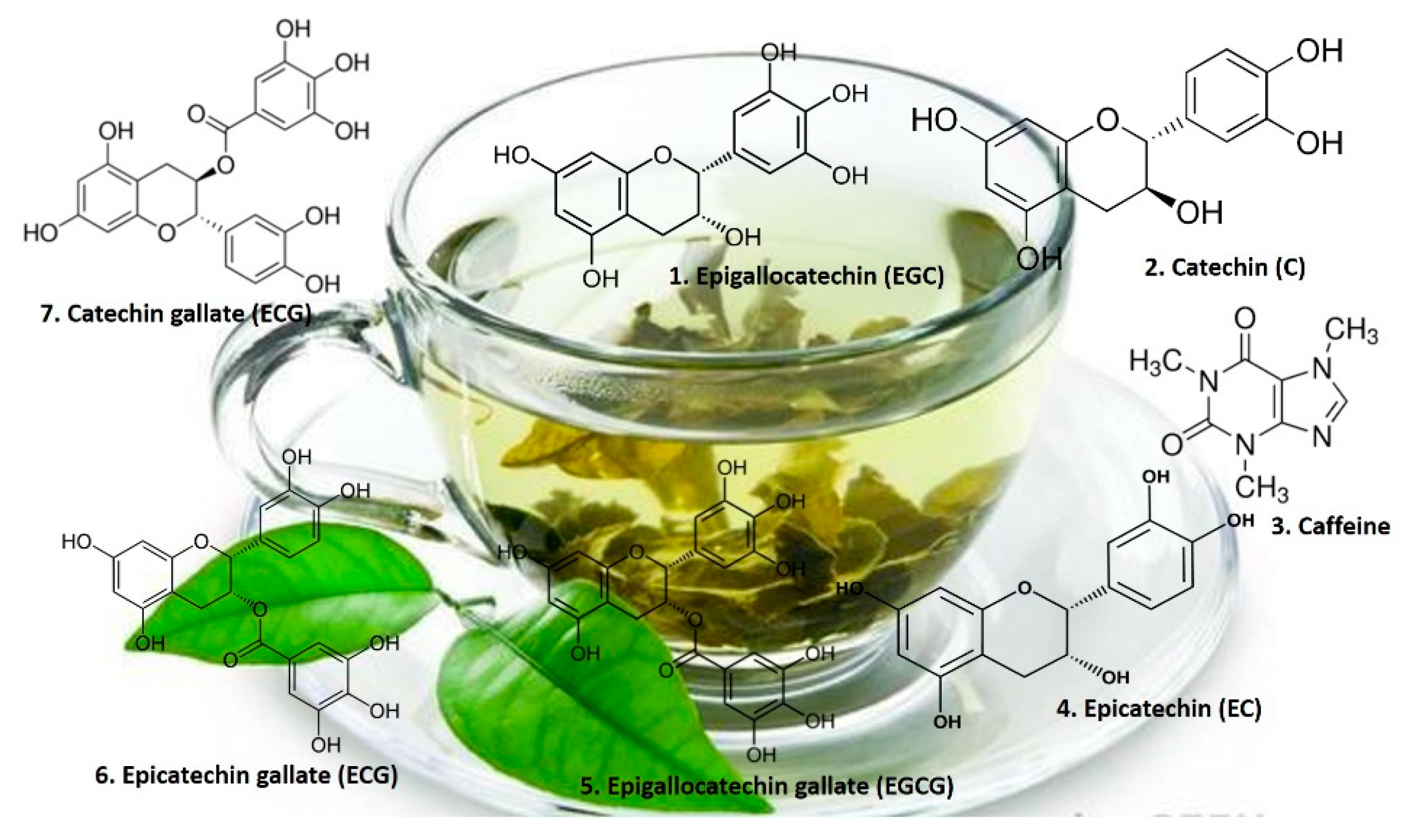 Алкалоид в чайных листьях. Химическая формула зеленого чая. Катехины зеленого чая. Катехин зеленого чая что такое. Катехины чая формулы.