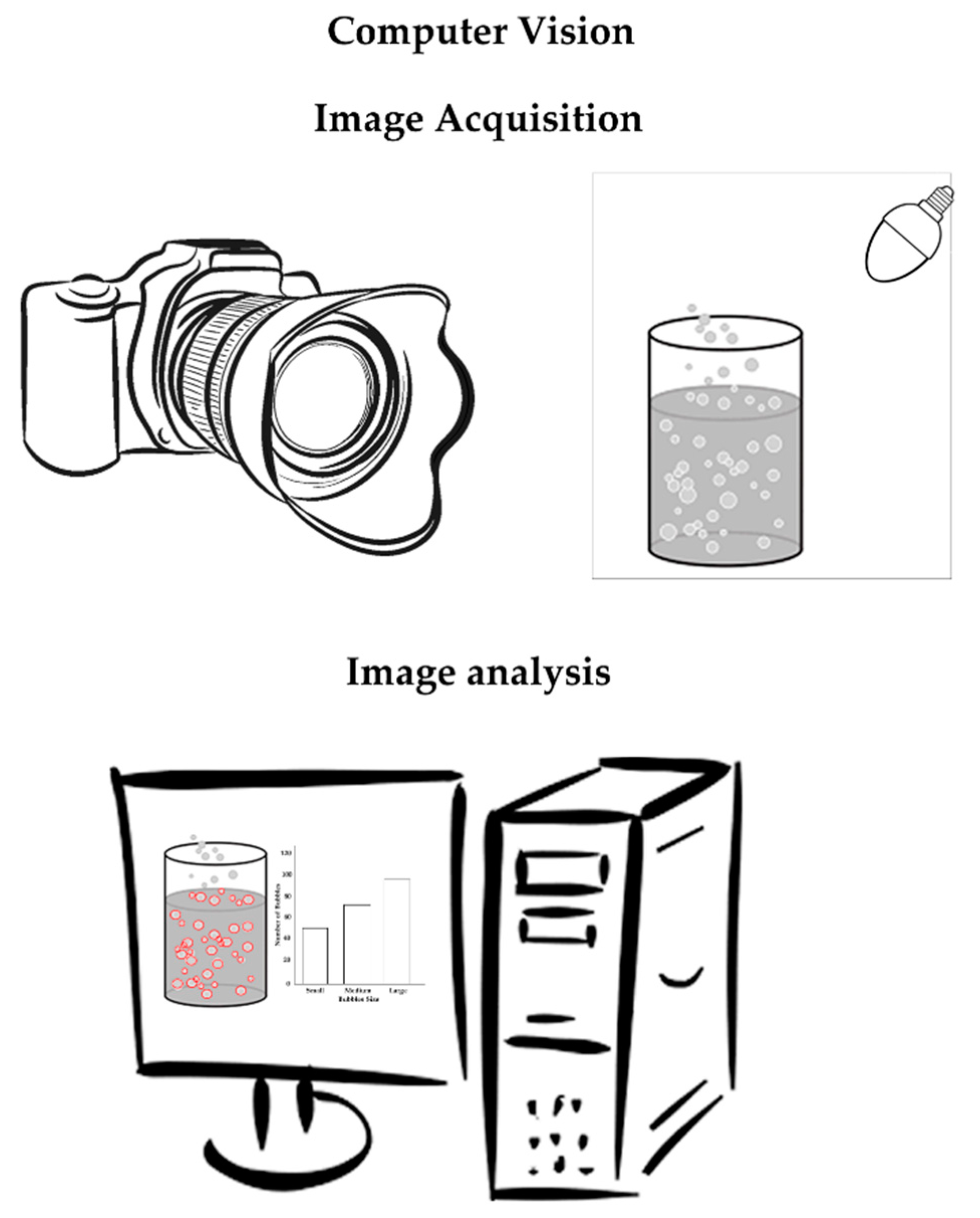 Beverages 05 00062 g001