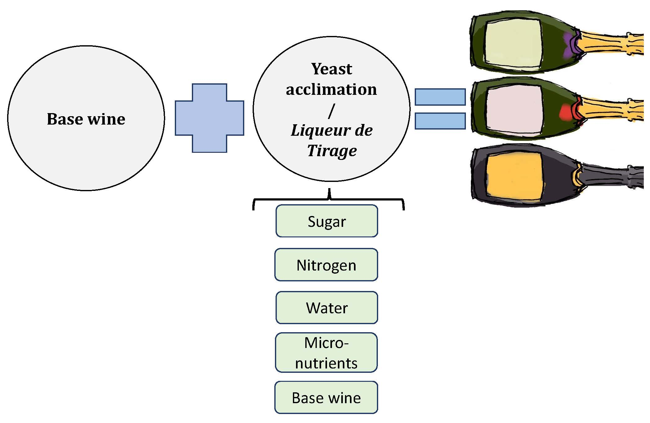 Beverages Free FullText Nutrient Addition to Low pH Base Wines (L