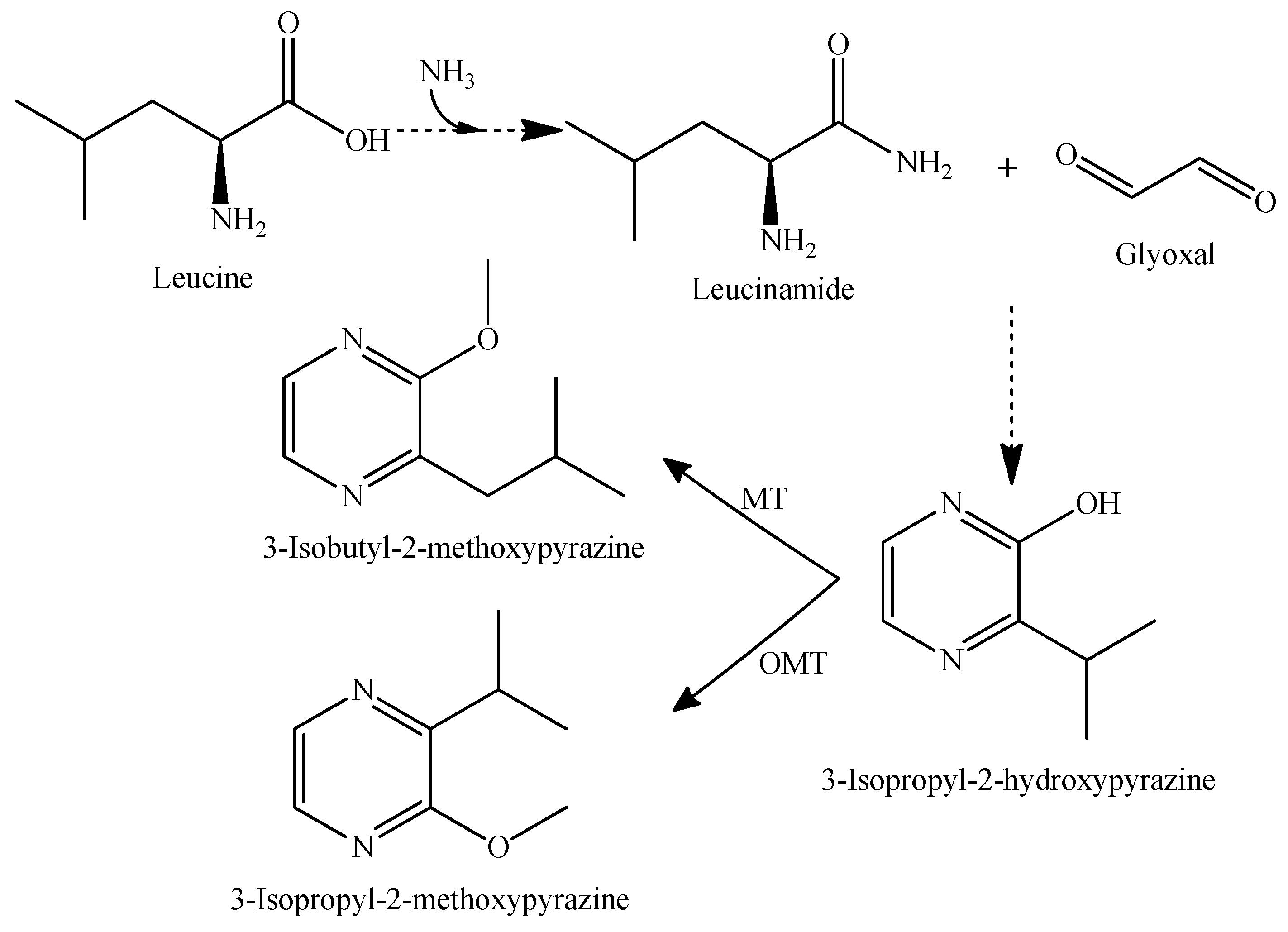 Beverages 06 00012 g004 Beverages 06 00012 g004
