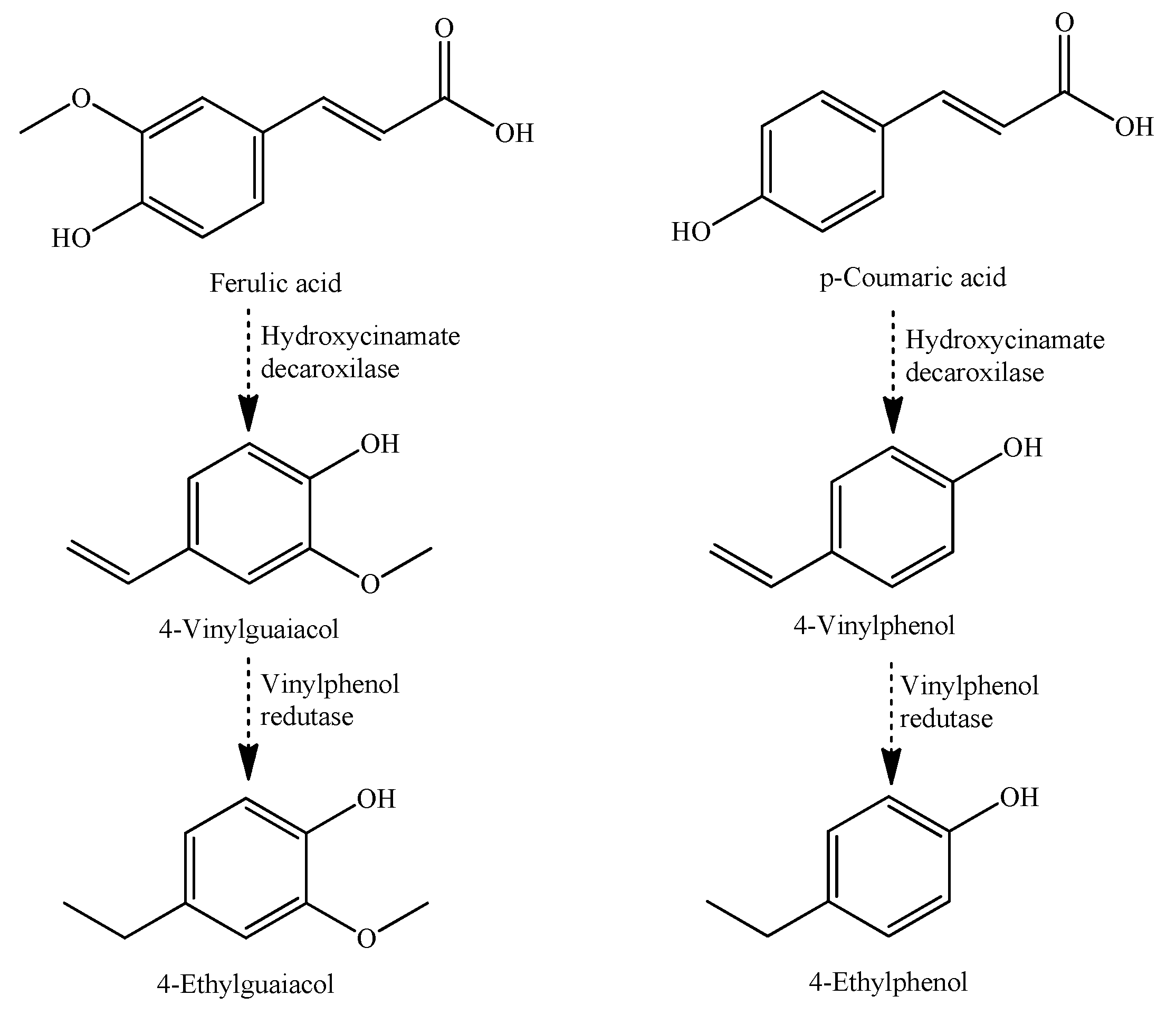 Beverages 06 00012 g006 Beverages 06 00012 g006
