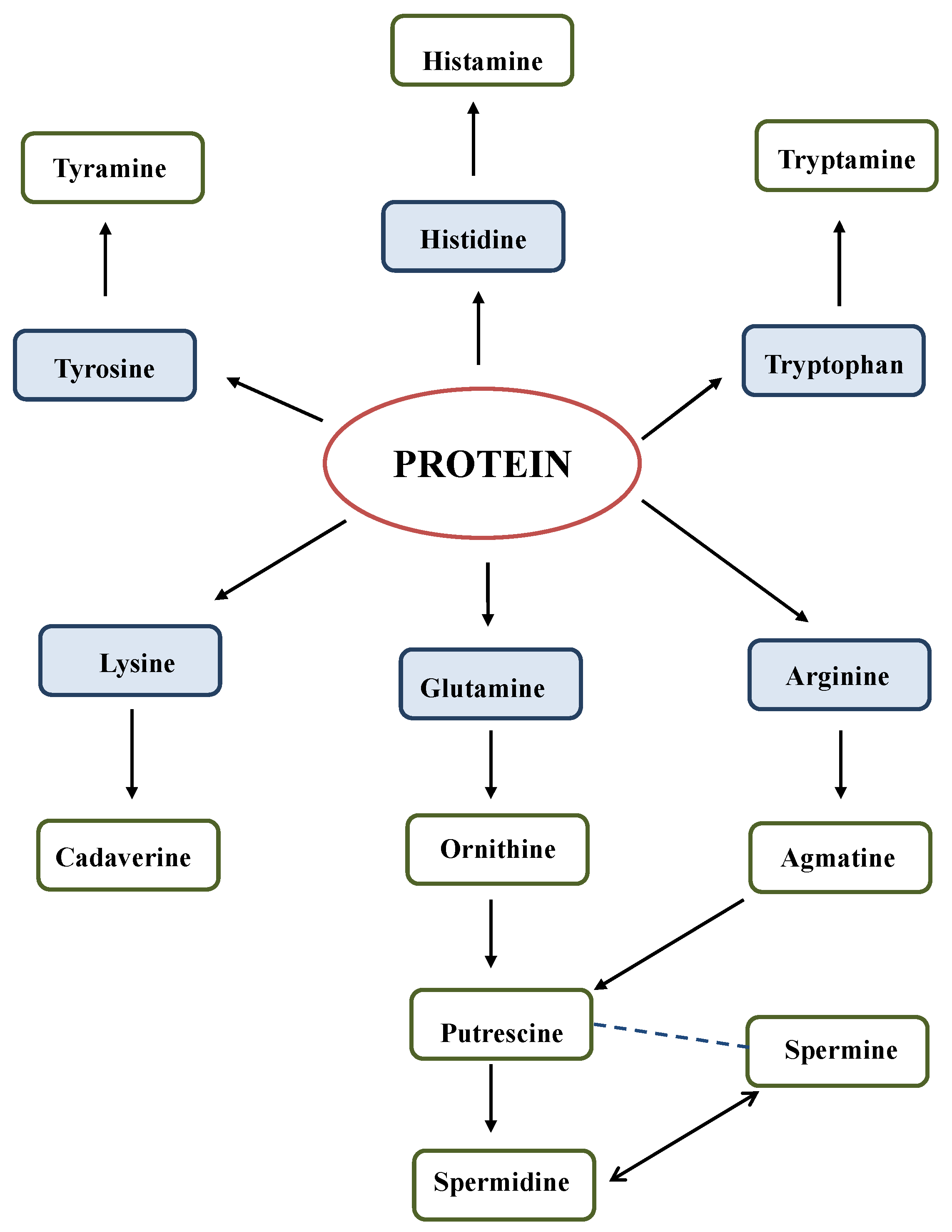 Beverages 06 00017 g003 Beverages 06 00017 g003