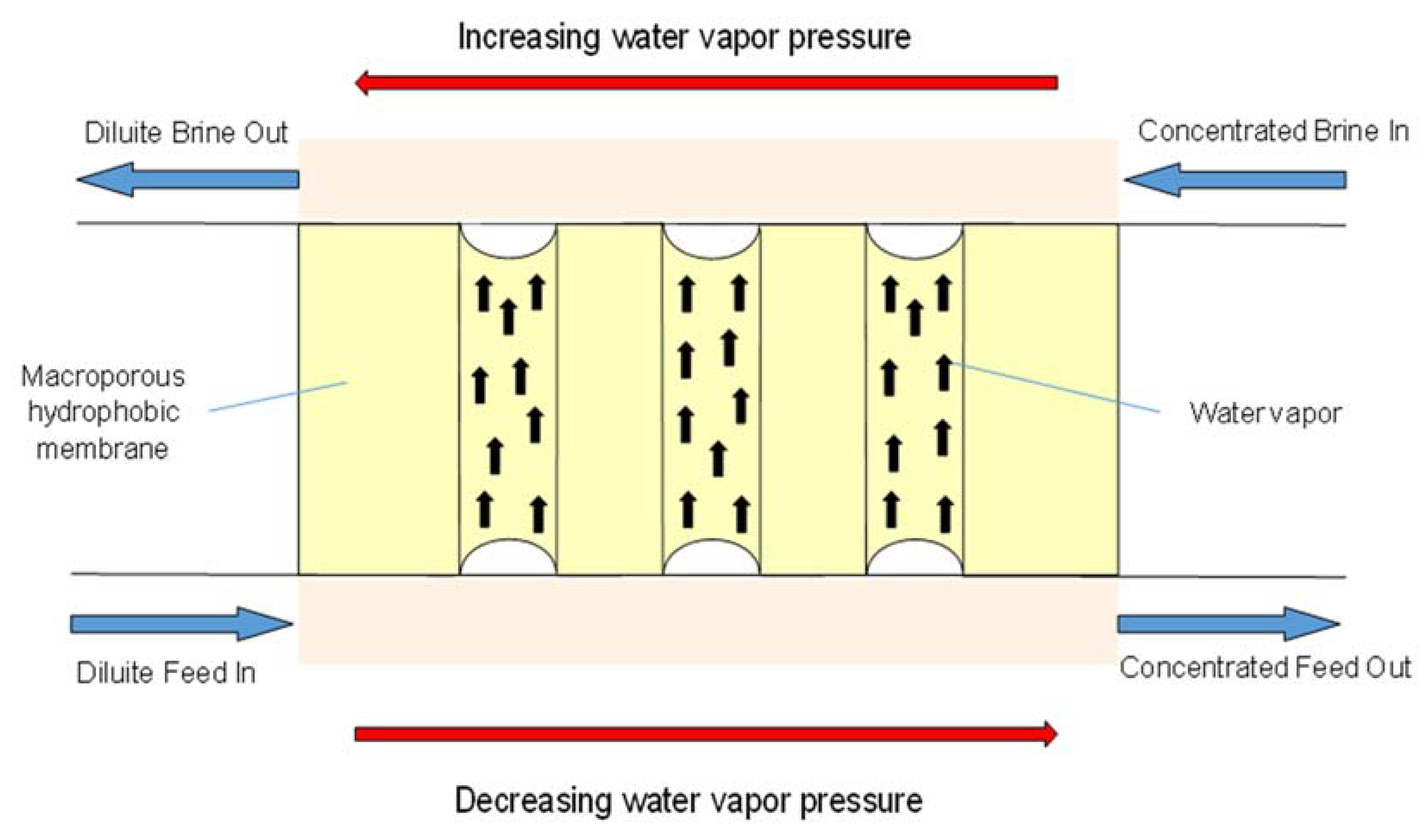 Beverages 06 00018 g002 Beverages 06 00018 g002