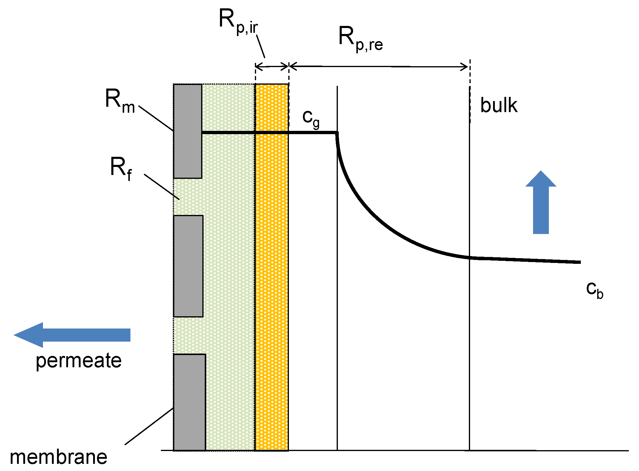 Beverages 06 00018 g005 Beverages 06 00018 g005