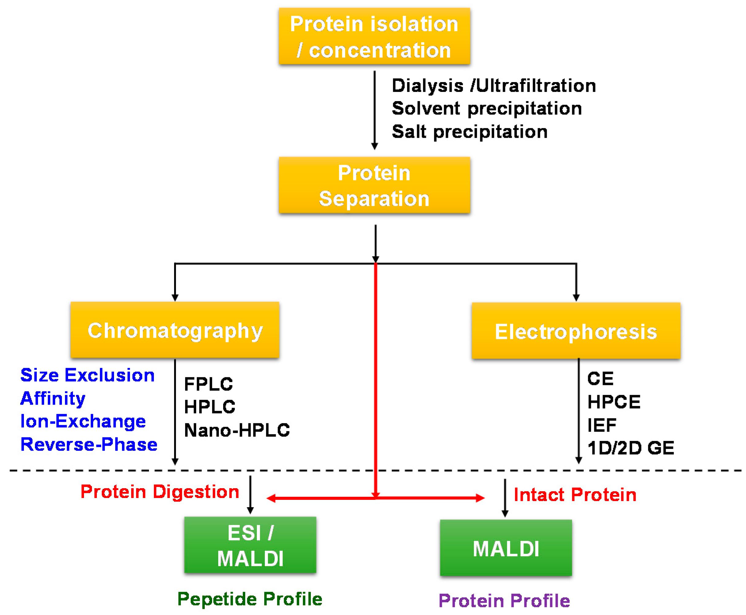 Beverages 06 00019 g001