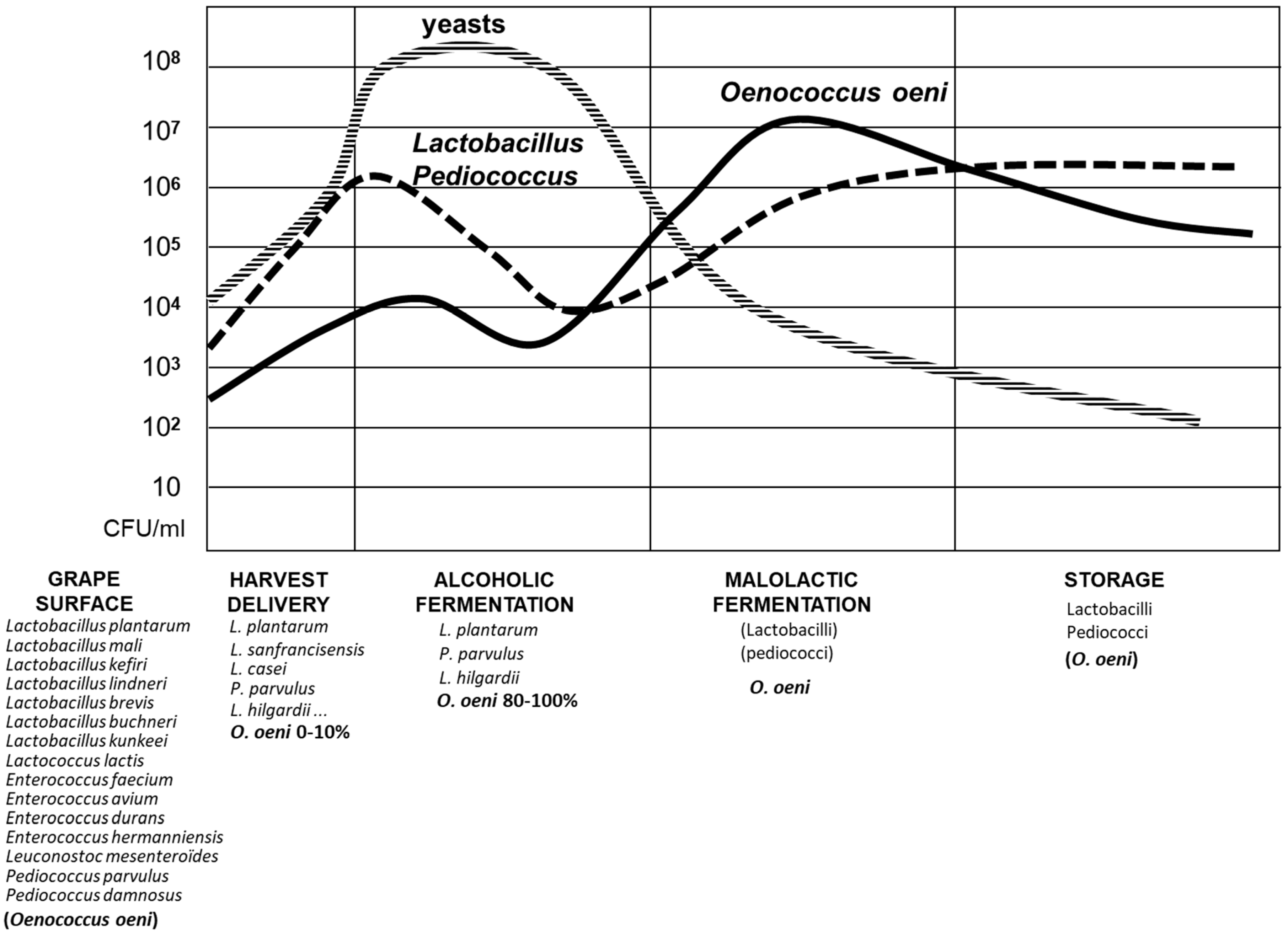 Beverages 06 00023 g001