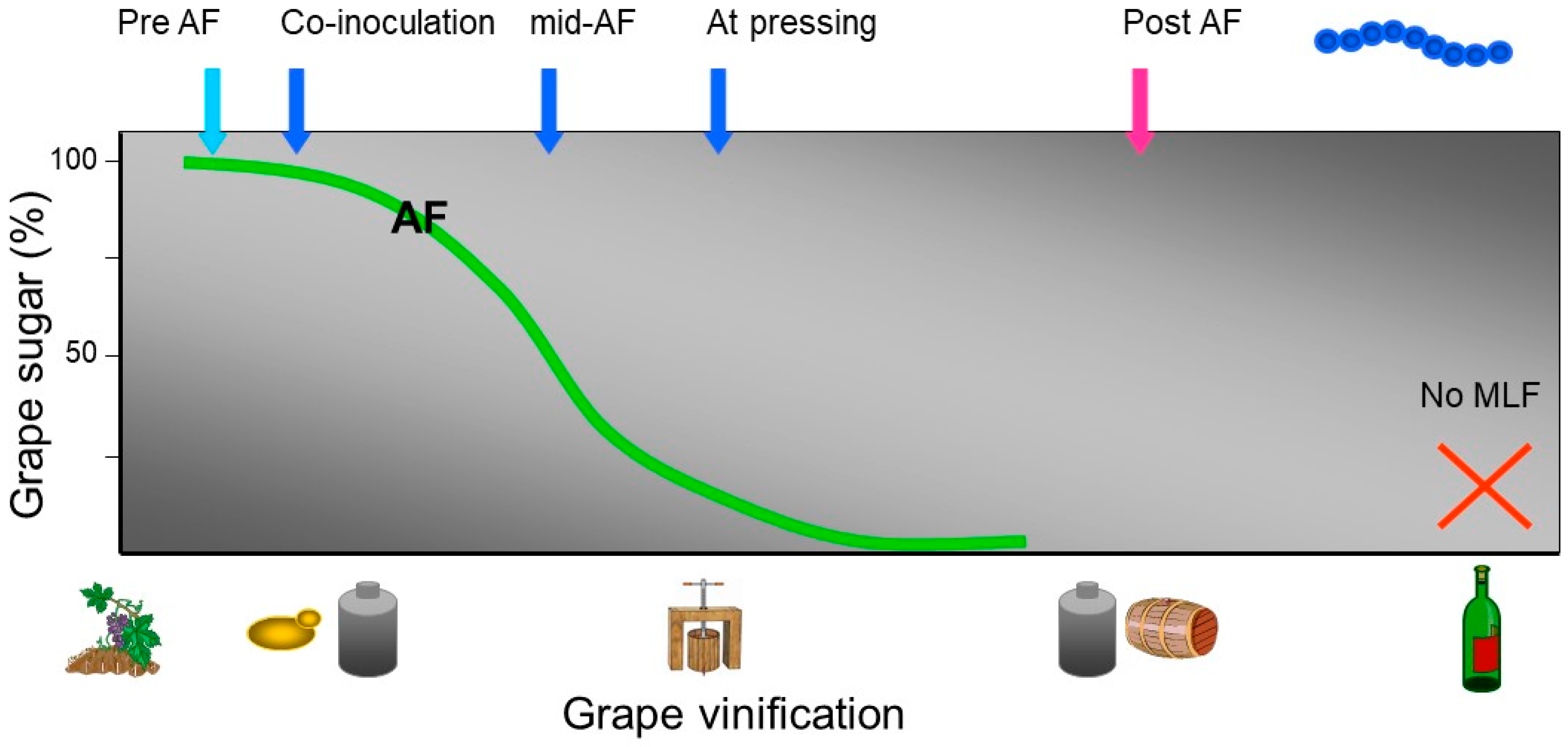 Beverages 06 00023 g002