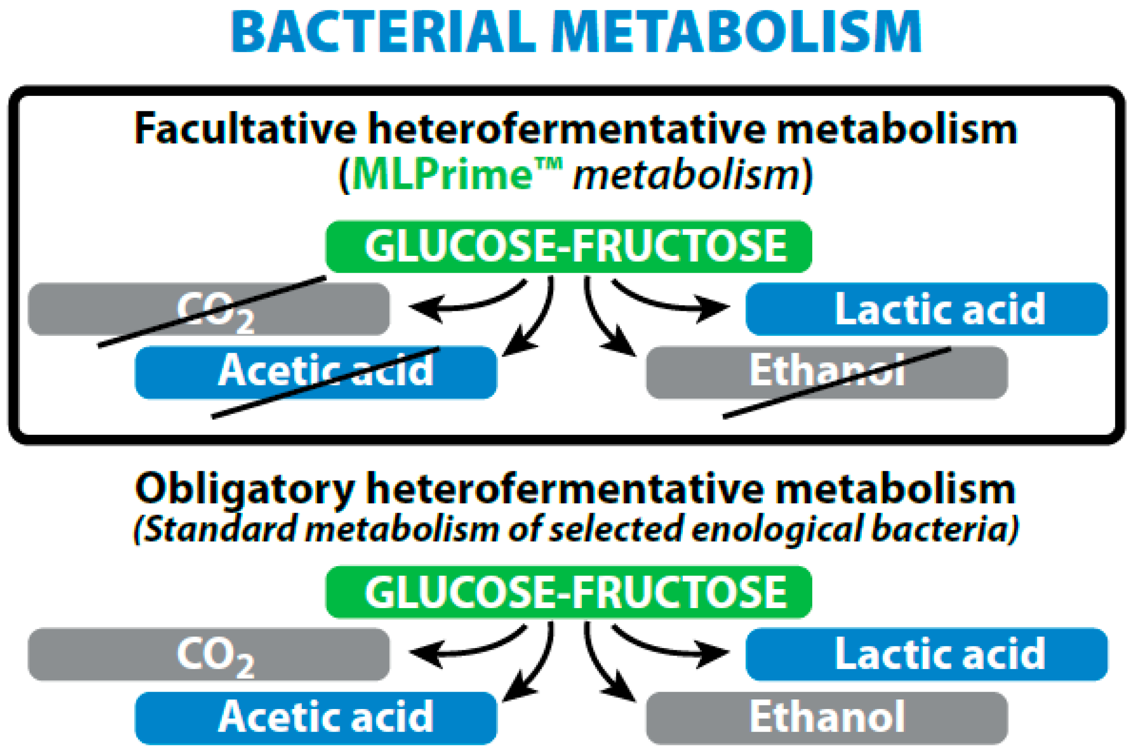 Beverages 06 00023 g003