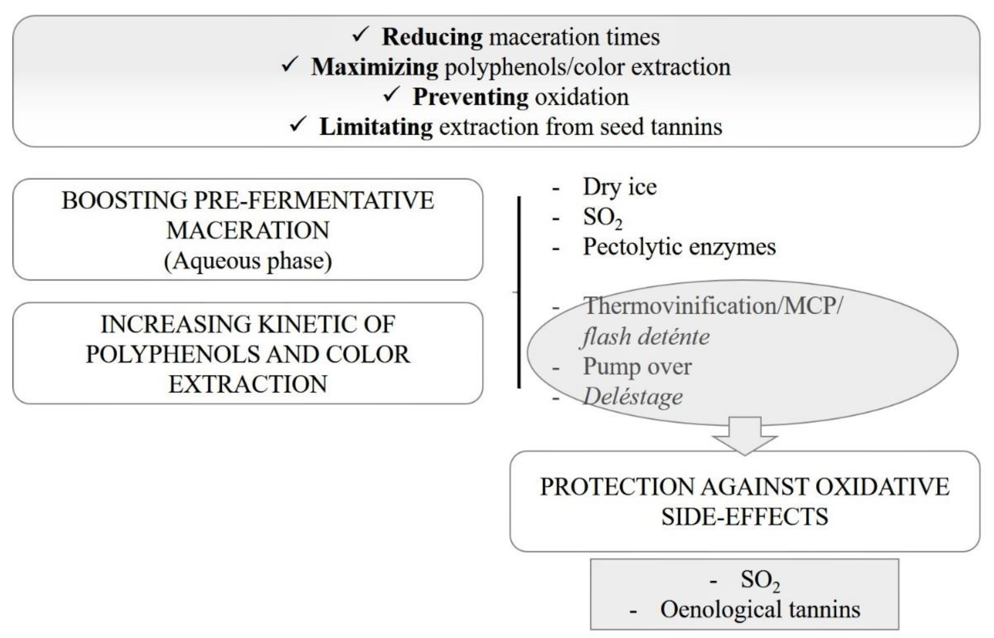 Beverages 06 00034 g001