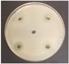 Beverages 06 00065 i001