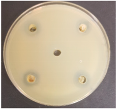 Beverages 06 00065 i002