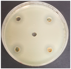 Beverages 06 00065 i004