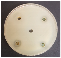 Beverages 06 00065 i006