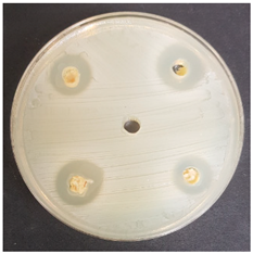 Beverages 06 00065 i008