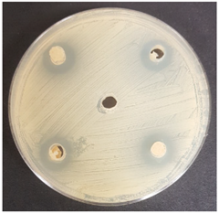 Beverages 06 00065 i009