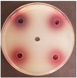 Beverages 06 00065 i011