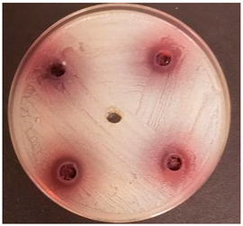 Beverages 06 00065 i012