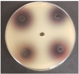 Beverages 06 00065 i013