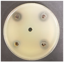 Beverages 06 00065 i014