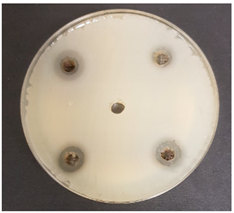 Beverages 06 00065 i015