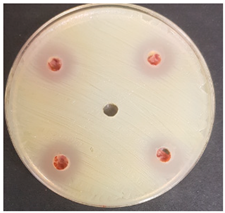 Beverages 06 00065 i016