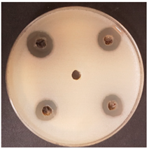 Beverages 06 00065 i017