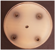 Beverages 06 00065 i018