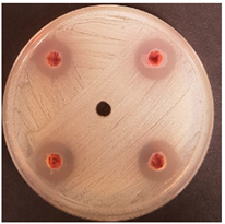 Beverages 06 00065 i021