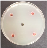 Beverages 06 00065 i022