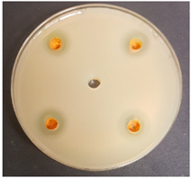 Beverages 06 00065 i023