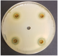 Beverages 06 00065 i024