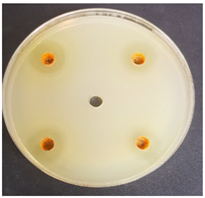 Beverages 06 00065 i025