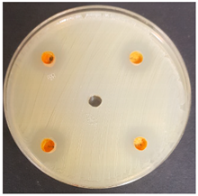 Beverages 06 00065 i026