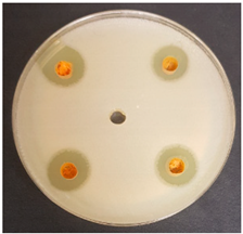 Beverages 06 00065 i027