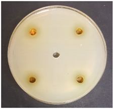 Beverages 06 00065 i028