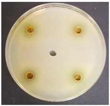 Beverages 06 00065 i029