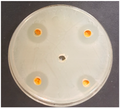 Beverages 06 00065 i030