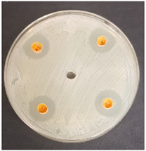 Beverages 06 00065 i031