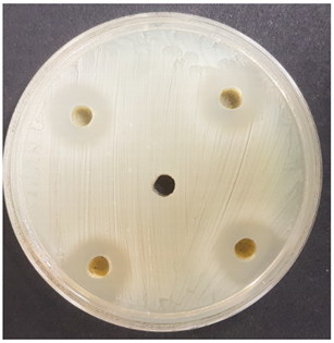 Beverages 06 00065 i032