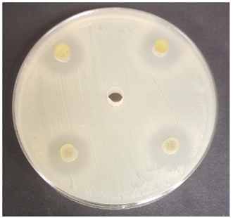 Beverages 06 00065 i033